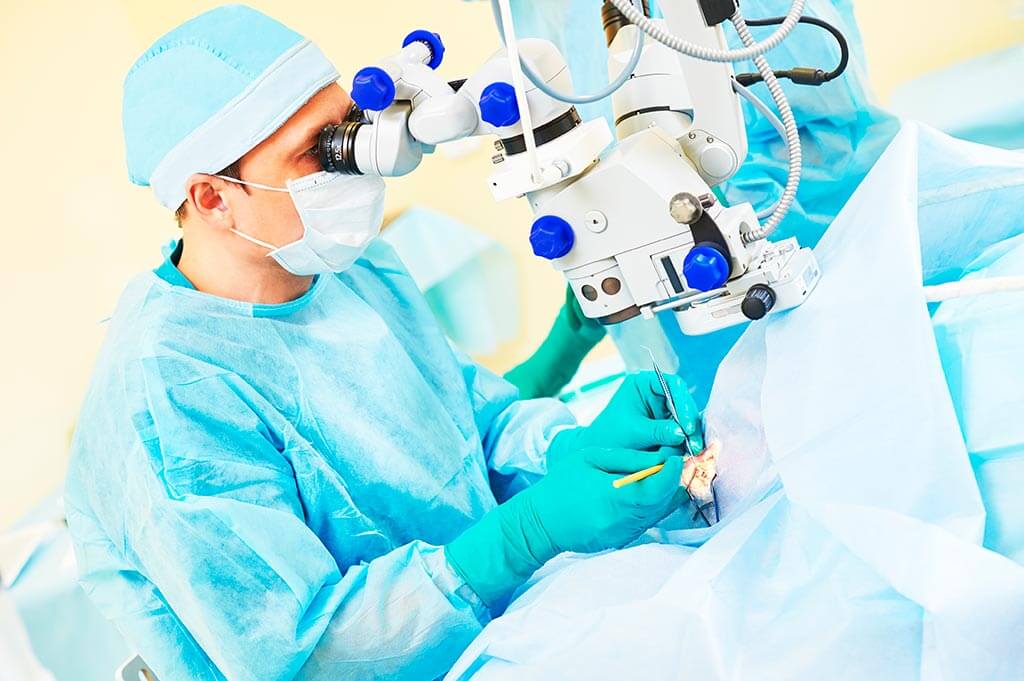 الشراكات 1614243168 1612518722 1504863250 Otr Shutterstock 290154164 1